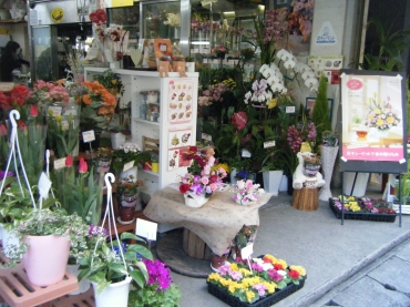 「花のタムラ」　（山口県下関市）の花屋店舗写真1