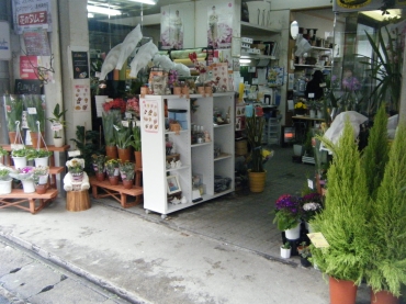 「花のタムラ」　（山口県下関市）の花屋店舗写真2